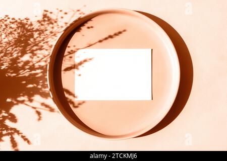Teller, Schatten von Blumen auf Pfirsichhintergrund im Sonnenlicht und leerem Geschäft, Grußkarte, Einladung Mockup. Lange Schatten. Draufsicht, flach, nachgeahmt Stockfoto