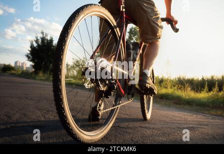Radfahrer stehen bei Sonnenuntergang auf der Straße. Sportlicher Lifestyle. Nahaufnahme des Hecks des Fahrrads. Stockfoto