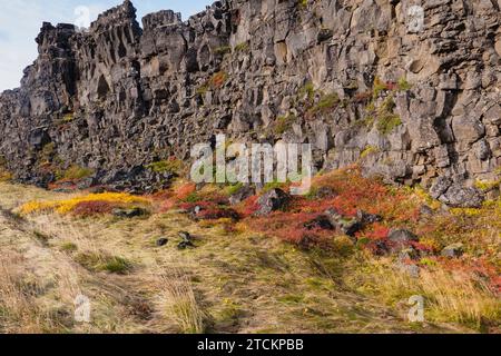 Island, Golden Circle, Thingvellir Nationalpark in Herbstfarben. Der Mittelatlantische Graben zwischen der nordamerikanischen und der eurasischen Platte. Die Almannagja-Schlucht markiert den Rand der nordamerikanischen tektonischen Platte. Stockfoto