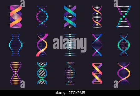 DNA-Spiralentnahme. Biotechnologie und genetische Forschungsmodelle. DNA-Helix und Chromosomenstruktur. Pharmazeutisches Modell des Molekül-Vektorsatzes Stock Vektor