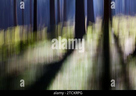 Atmosphärischer Wald, abstrakte Strukturen, Wischeffekt, Glühbirnenbelichtung Stockfoto