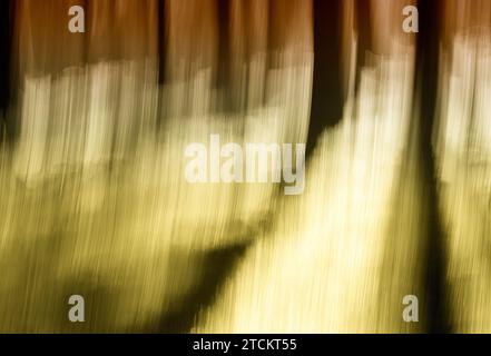 Atmosphärischer Wald, abstrakte Strukturen, Wischeffekt, Glühbirnenbelichtung Stockfoto