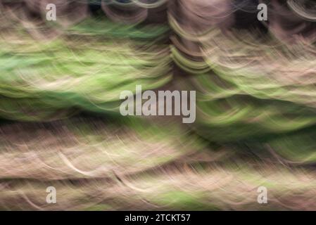 Atmosphärischer Wald, abstrakte Strukturen, Wischeffekt, Glühbirnenbelichtung Stockfoto