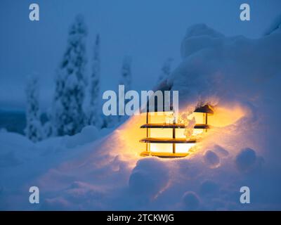 Eine brennende elektrische Laterne in einer Schneelage gegen einen schneebedeckten Baum. Nahaufnahme. Stockfoto