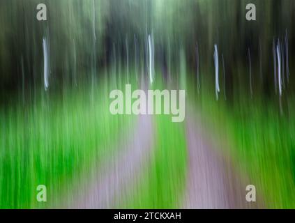 Atmosphärischer Waldweg, abstrakte Strukturen, Wischeffekt, Glühbirnenbelichtung Stockfoto