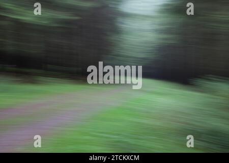 Atmosphärischer Waldweg, abstrakte Strukturen, Wischeffekt, Glühbirnenbelichtung Stockfoto
