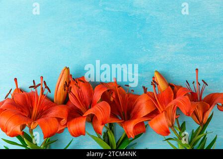 Blütenzusammensetzung. Sommer orange Lilienblüten auf pastellblauem Hintergrund. Flache Lagen. Draufsicht. Hochzeits- oder Jubiläumskarte Stockfoto