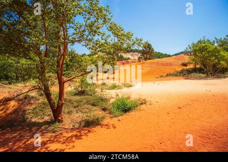 Sonnendurchflutete Szenen im provenzalischen Colorado (Le Colorado Provenzal). Fotografien aus Südfrankreich in der Region Luberon, wo Ocker abgebaut wurde Stockfoto