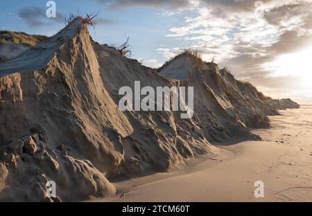 Dünenerosion, Sand aus einer Reihe von Dünen unter Wellenangriff, die einen steilen Dünenkram hinterlassen, Rückzug der Dünenfront Stockfoto