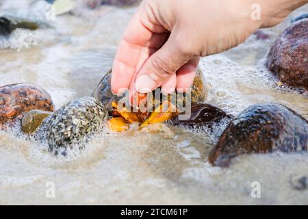 Schöne Stücke von Bernstein in der Hand des Meeres Hintergrund. Ein leuchtendes, welliges Stück Bernstein in der Handfläche. Der Sonnenstein Stockfoto