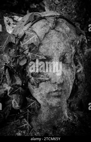 Eine alte Sandsteinstatue auf einem mit Efeu bedeckten Friedhof. Ein Efeuhaarkranz auf dem Kopf einer Sandsteinskulptur. Winter. Friedhof. Schwarzweißfoto. Stockfoto