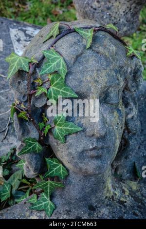 Eine alte Sandsteinstatue auf einem mit Efeu bedeckten Friedhof. Ein Efeuhaarkranz auf dem Kopf einer Sandsteinskulptur. Winter. Friedhof. Stockfoto