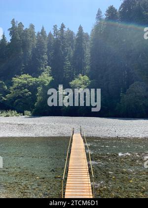 Eine kleine Brücke, die sich über ein ruhiges Gewässer erstreckt und zu einer üppigen und grünen Waldoase führt Stockfoto