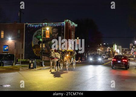 Detroit, Michigan - das südwestliche Detroit Holiday fest im mexikanisch-amerikanischen Viertel. Pferdekutschenfahrten waren eine der Aktivitäten Stockfoto