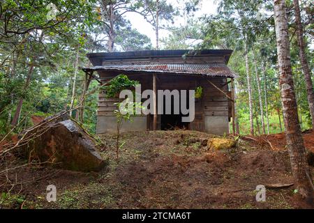 Alte verlassene Hütte altes Bauernhaus in Kiefernwäldern an regnerischen Tagen in da Lat Stadt, Vietnam Stockfoto