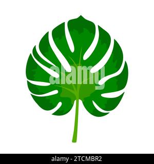 Tropische grüne Blätter der Monstera-Pflanze. Tropisches exotisches Dschungeldesign Natur isoliert auf weißem Bacjground. Vektorabbildung Stock Vektor