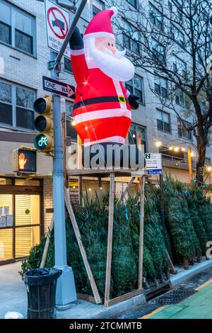 Weihnachtsbaumwald sellerÕs im Stadtteil Chelsea von New York am Donnerstag, 7. Dezember 2023. (© Richard B. Levine) Stockfoto