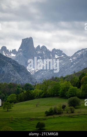 Panoramaaussicht auf Naranjo de Bulnes oder PICU Urriellu, Kalksteingipfel aus der paläozoischen Ära, in der zentralen Region Macizo Picos de Europa, m Stockfoto