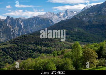 Panoramaaussicht auf Naranjo de Bulnes oder PICU Urriellu, Kalksteingipfel aus der paläozoischen Ära, in der zentralen Region Macizo Picos de Europa, m Stockfoto