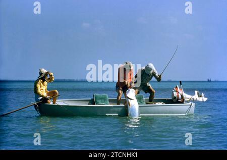 ISLAMORADA, FL - JUNI 1955: Ein Fischer zieht einen Tarponfisch auf sein Boot, nachdem er etwa Juni 1955 vor der Küste von Islamorada, Florida, gefangen hat. (Foto: Hy Peskin) Stockfoto