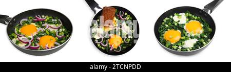 Köstliche Shakshuka in Pfannen isoliert auf weiß, Set Stockfoto