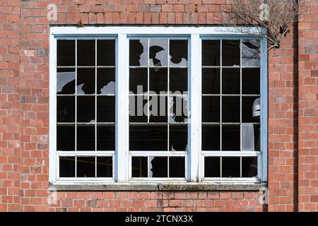 Zerbrochene Glasscheiben in dreiteiligen Fenstern umgeben von roten Ziegeln und Vegetation, die Wurzeln schlägt Stockfoto