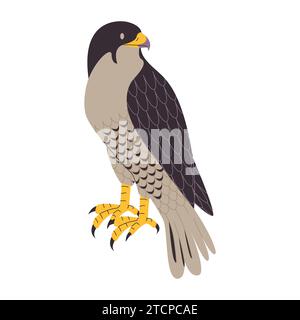 Braune Farbe shaheen Falke wilde Natur Vogeljäger Raubtier Fleischfresser starkes Tier und bedrohte Arten Stock Vektor