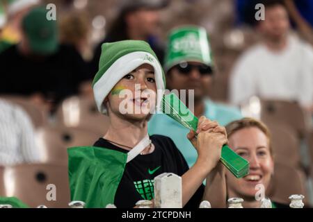 Melbourne, Australien. Dezember 2023. Melbourne Stars Fans beim KFC Big Bash League (BBL13) T20 Spiel zwischen Melbourne Stars und Perth Scorchers auf dem Melbourne Cricket Ground. Quelle: Santanu Banik/Alamy Live News Stockfoto