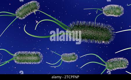 Die 3D-Rendering von Escherichia coli, allgemein bekannt als E. coli, ist ein Bakterium, das häufig im Unterleib von warmblütigen Organismen vorkommt Stockfoto