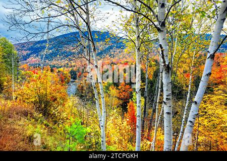 Herbstfarbenexplosion in den White Mountains mit dem Pemigewasset River, Franconia, New Hampshire, USA Stockfoto