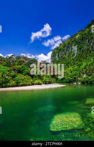 Der Pororari River, Paparoa National Park, Punakaiki, Neuseeland Stockfoto