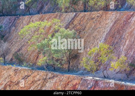 Aufgebaute Peakhill Open Cut Goldmine in New South Wales Stockfoto