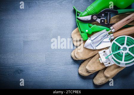 Grüner Draht Handschuhgabel Spade Gartenschere Sprüher Stockfoto