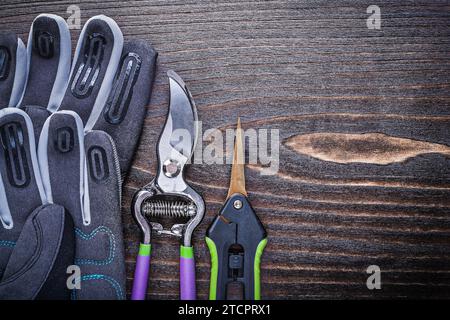 Schutzhandschuhe Gartenschere auf Holzbrett Stockfoto