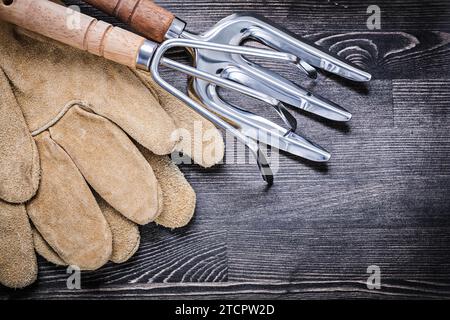 Gartenkelle Gabel Rake Leder Sicherheitshandschuhe Landwirtschaft Konzept Stockfoto