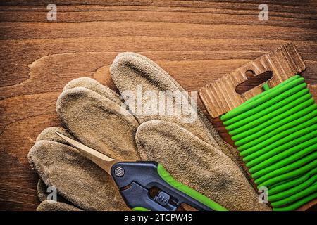 Gartendrahtschneider Sicherheitshandschuhe auf Holzbrett Gartenkonzept Stockfoto