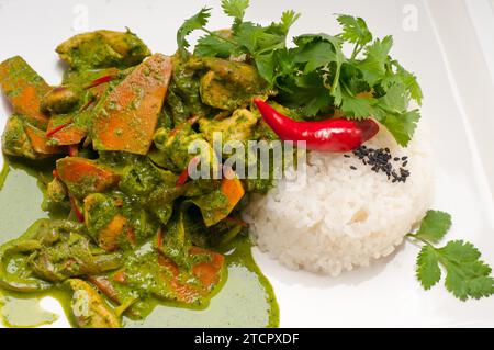 Hühnchen mit grünem Curry, frischem Gemüse und Reis Stockfoto