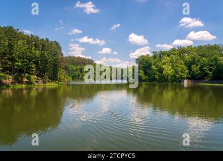 Puffige weiße Wolken schweben über einem stillen See, der bewaldete Bergrücken am Lake Vesuvius, Wayne National Forest, Ohio, widerspiegelt. Stockfoto