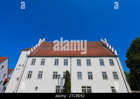 Schloss Werdenberg, Werdenbergschloss, Renaissanceschloss der Grafen von Werdenberg, heute Werdenberger Schule, historisches Gebäude, Architektur Stockfoto