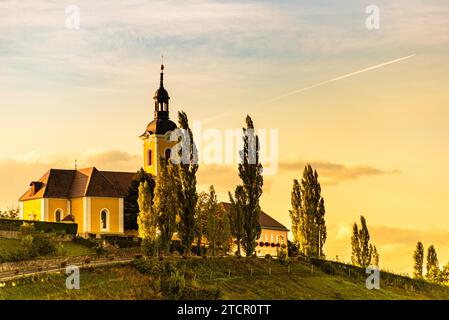 Herbst Landschaft Panorama der Weinberg auf einem österreichischen Landschaft bei Sonnenuntergang in Kitzeck im Sausal. Reiseziel Stockfoto