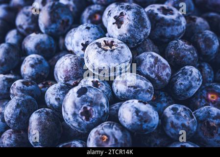 Die Oberfläche ist mit einer dicken Schicht Heidelbeeren bedeckt. Natürlicher Hintergrund. MoorHeidelbeere (Vaccinium uliginosum), MoorHeidelbeere, antioxidative Nahrung Stockfoto