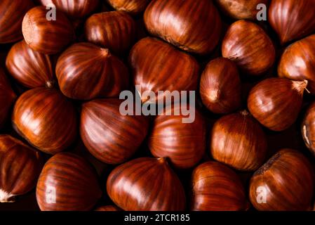 Reife Kastanien hautnah. Raw Kastanien für Weihnachten. Frische Kastanien. Essen Hintergrund Stockfoto