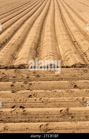 Bebautes Feld gepflügt, Zeilen in Muster. Landwirtschaftliche Themen Hintergrund Stockfoto