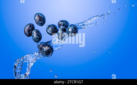 Isolierter Schuss von Pflaumen, die mit Wasser spritzen, isoliert auf blauem Hintergrund. Blaue Früchte Stockfoto