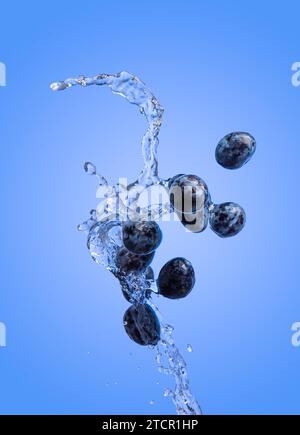 Isolierter Schuss von Pflaumen, die mit Wasser spritzen, isoliert auf blauem Hintergrund. Blaue Früchte Stockfoto