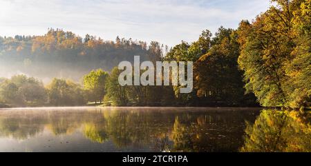 Nebelseen mit Herbstlaub und Baumspiegelungen in der Steiermark, Thal, Österreich. Herbstmotiv Stockfoto