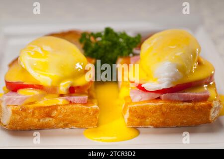 Frische Eier benedict auf Brot mit Tomaten und Schinken Stockfoto