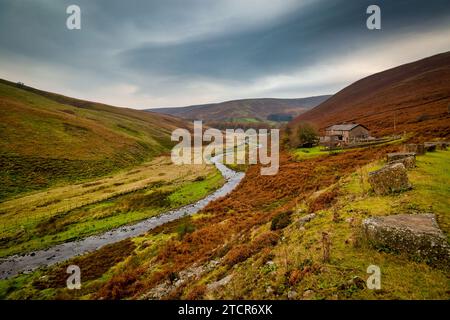 Langden Brook im Wald von Bowland Stockfoto