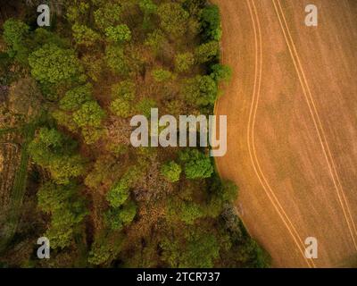 Luftaufnahme des Waldes neben einem gepflügten Feld im ländlichen North Bedfordshire, England, Großbritannien - Foto: Geopix Stockfoto