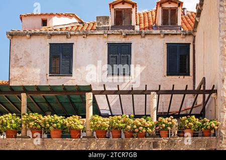 Wunderschönes Gebäude mit gelben, frischen Hausblumen Stockfoto